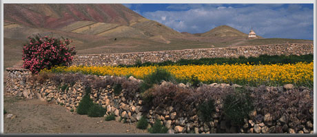 ladakh hemis, travel leh ladakh, ladakh tourism, toruism in ladakh, ladakh tours, hotels in ladakh