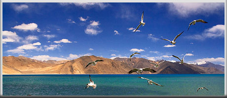 pangong lake, pangon lake ladakh, ladakh lake tours, ladakh leh tours, travel leh ladakh, ladakh tours, ladakh tourism, tourism in leh ladakh